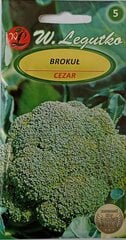 Brokoliai Cezar kaina ir informacija | Daržovių, uogų sėklos | pigu.lt