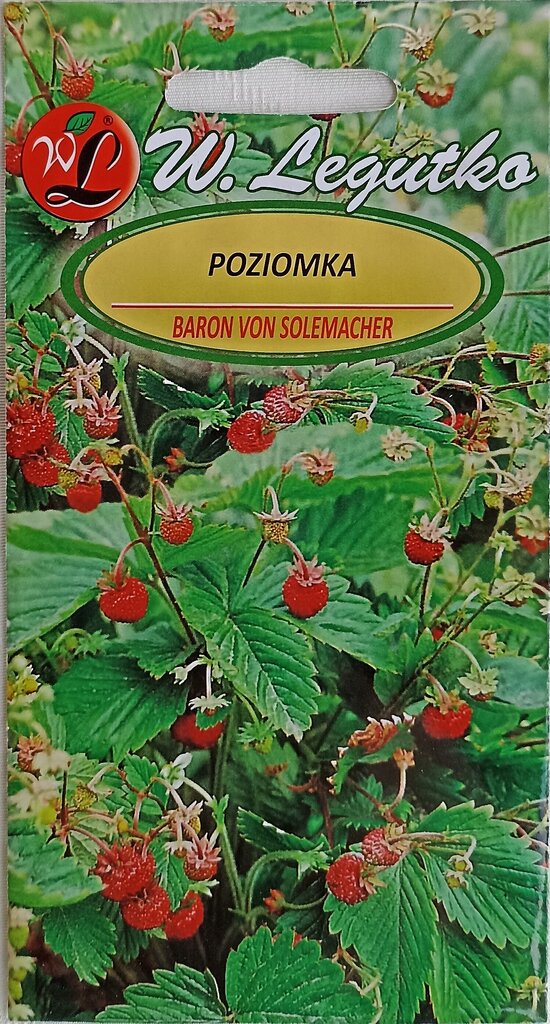 Žemuogės Baron von Solemacher, 2 vnt kaina ir informacija | Daržovių, uogų sėklos | pigu.lt