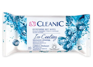 Влажные салфетки Cleanic Ice Cooling, 15 шт. цена и информация | Cleanic Духи, косметика | pigu.lt