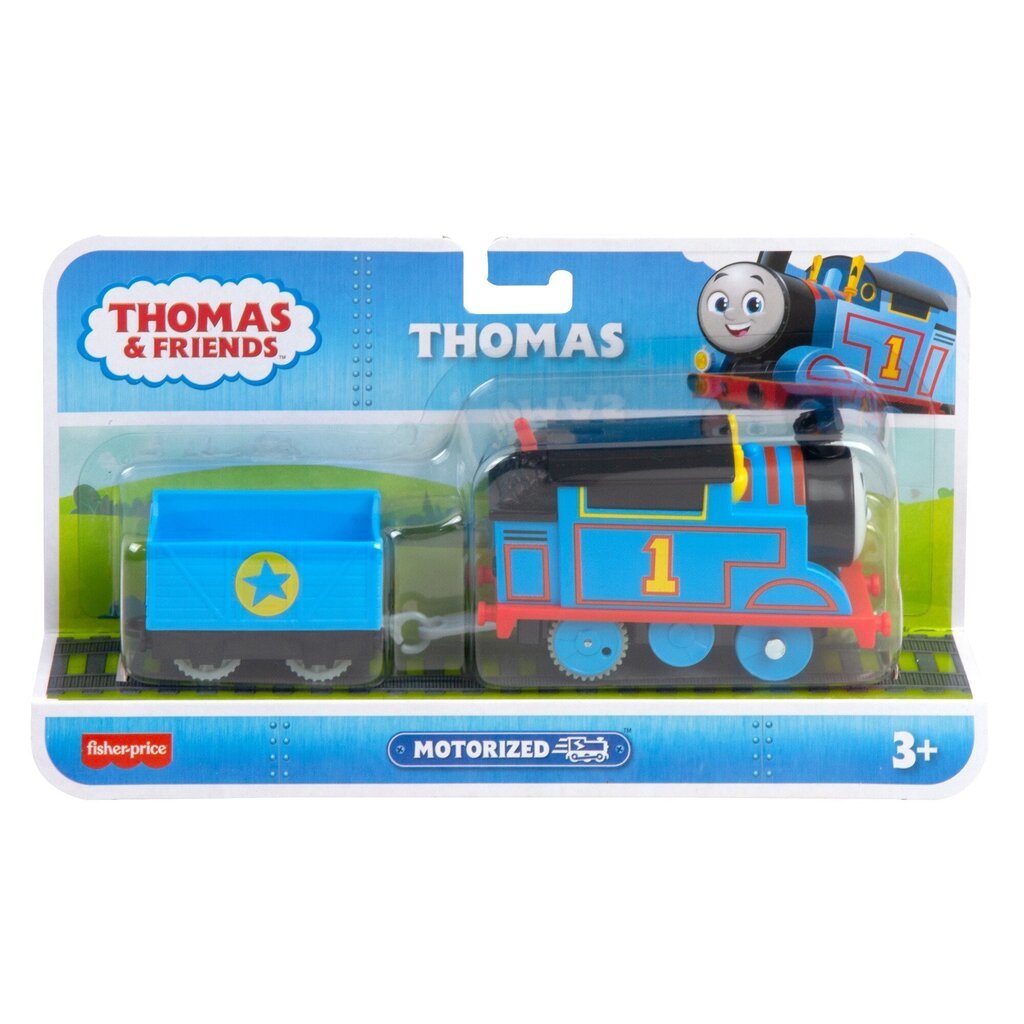 Моторизированные паровозики Thomas & Friends® HFX96 цена | pigu.lt