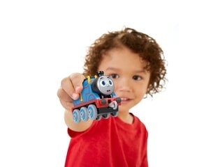 Набор трасс Томас и его друзья, железная дорога в ассортименте HGY82 цена и информация | Игрушки для малышей | pigu.lt