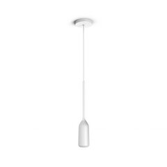 Philips Hue подвесной светильник Devote цена и информация | Подвесной светильник | pigu.lt