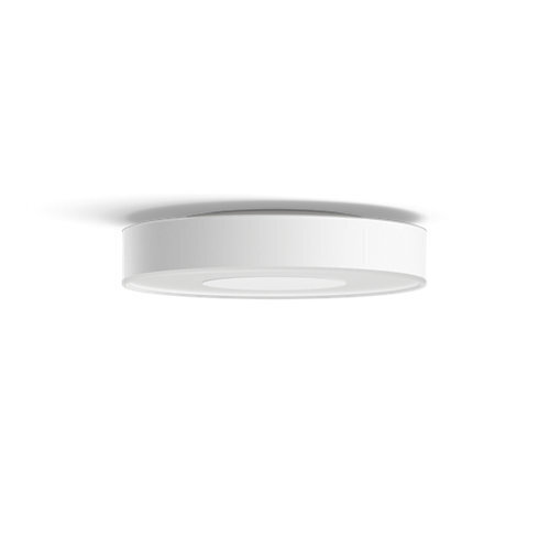 Philips Hue vonios lubų šviestuvas Xamento M kaina ir informacija | Lubiniai šviestuvai | pigu.lt