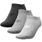 Kojinės moterims 4F W H4L22 SOD302, pilkos, 3 poros kaina ir informacija | Moteriškos kojinės | pigu.lt