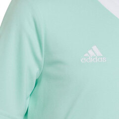 Детская футболка Adidas Entrada 22 Jersey HC5078, цвета мяты цена и информация | Футбольная форма и другие товары | pigu.lt