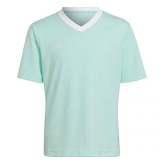 Детская футболка Adidas Entrada 22 Jersey HC5078, цвета мяты цена и информация | Футбольная форма и другие товары | pigu.lt