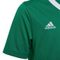 Vaikiški marškinėliai Adidas Entrada 22 Jersey HI2126, žali цена и информация | Futbolo apranga ir kitos prekės | pigu.lt