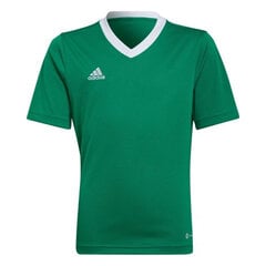 Vaikiški marškinėliai Adidas Entrada 22 Jersey HI2126, žali kaina ir informacija | Adidas teamwear Sportas, laisvalaikis, turizmas | pigu.lt