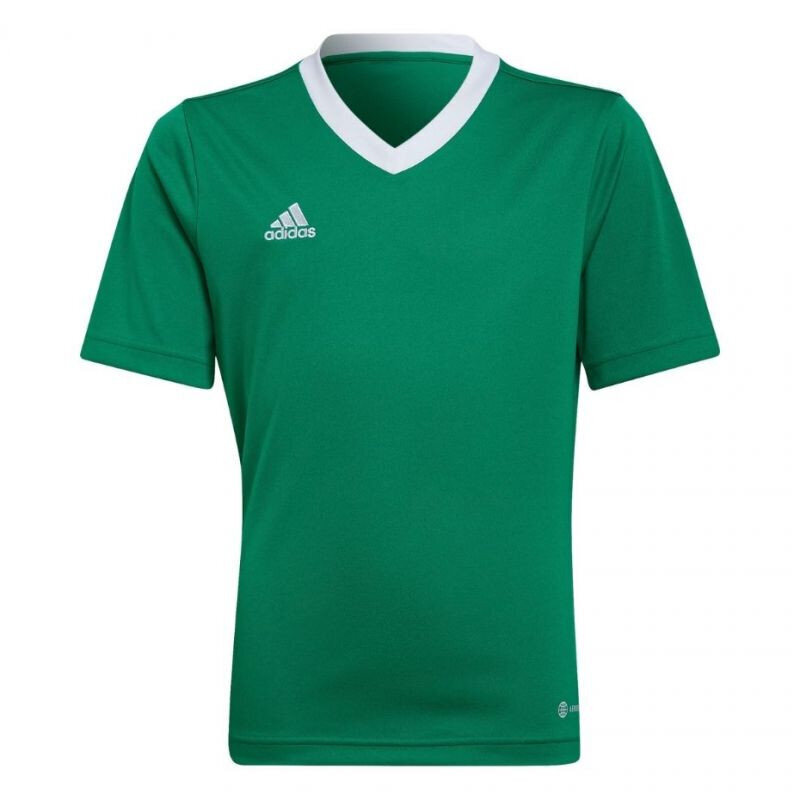 Vaikiški marškinėliai Adidas Entrada 22 Jersey HI2126, žali kaina ir informacija | Futbolo apranga ir kitos prekės | pigu.lt