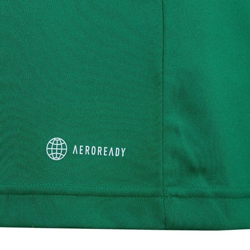 Vaikiški marškinėliai Adidas Entrada 22 Jersey HI2126, žali kaina ir informacija | Futbolo apranga ir kitos prekės | pigu.lt