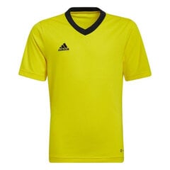 Vaikiški marškinėliai Adidas Entrada 22 Jersey HI2127, geltoni kaina ir informacija | Futbolo apranga ir kitos prekės | pigu.lt