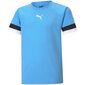 Marškinėliai vaikams Puma teamRISE Jersey Jr mėlyni 704938 18 kaina ir informacija | Marškinėliai berniukams | pigu.lt