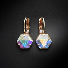 Auskarai moterims DiamondSky Kaleidoscope Aurore Boreale su Swarovski kristalais DS02A225 kaina ir informacija | Auskarai | pigu.lt