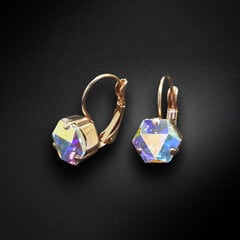Auskarai moterims DiamondSky Kaleidoscope Aurore Boreale su Swarovski kristalais DS02A225 kaina ir informacija | Auskarai | pigu.lt