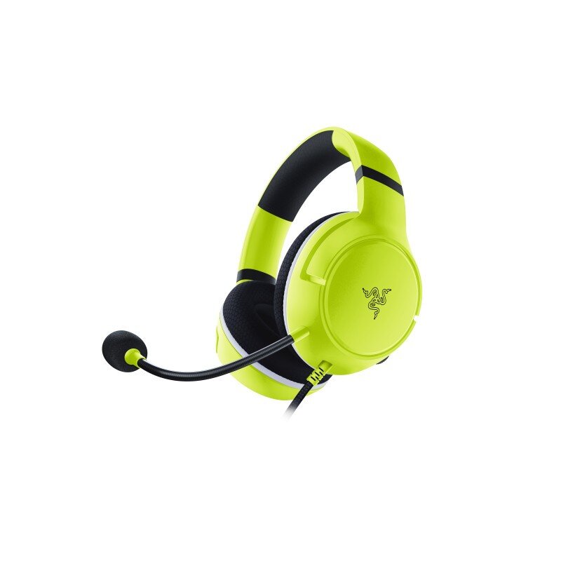 Razer RZ04-03970600-R3M1 kaina ir informacija | Ausinės | pigu.lt