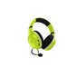 Razer RZ04-03970600-R3M1 kaina ir informacija | Ausinės | pigu.lt