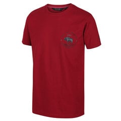Marškinėliai vyrams Regatta Cline IV, raudoni kaina ir informacija | Vyriški marškinėliai | pigu.lt