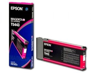 Epson C13T544300 T5443, rožinė kaina ir informacija | Kasetės rašaliniams spausdintuvams | pigu.lt