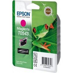Epson T0543 C13T05434010, rožinė kaina ir informacija | Kasetės rašaliniams spausdintuvams | pigu.lt