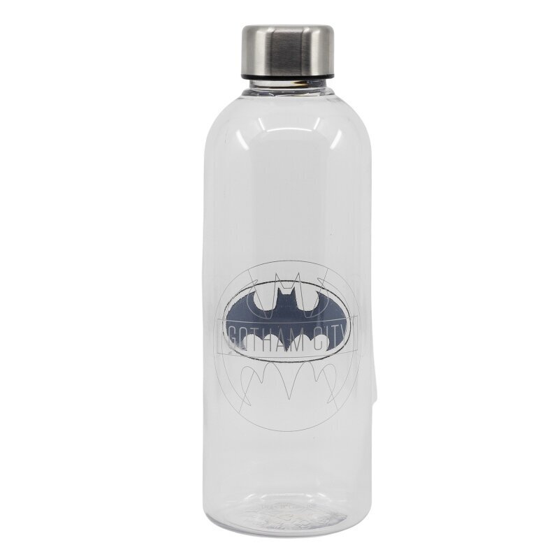 Batman, 850 ml kaina ir informacija | Žaidėjų atributika | pigu.lt