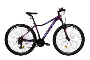 Kalnų dviratis DHS 2922 29", violetinis kaina ir informacija | DHS Išparduotuvė | pigu.lt