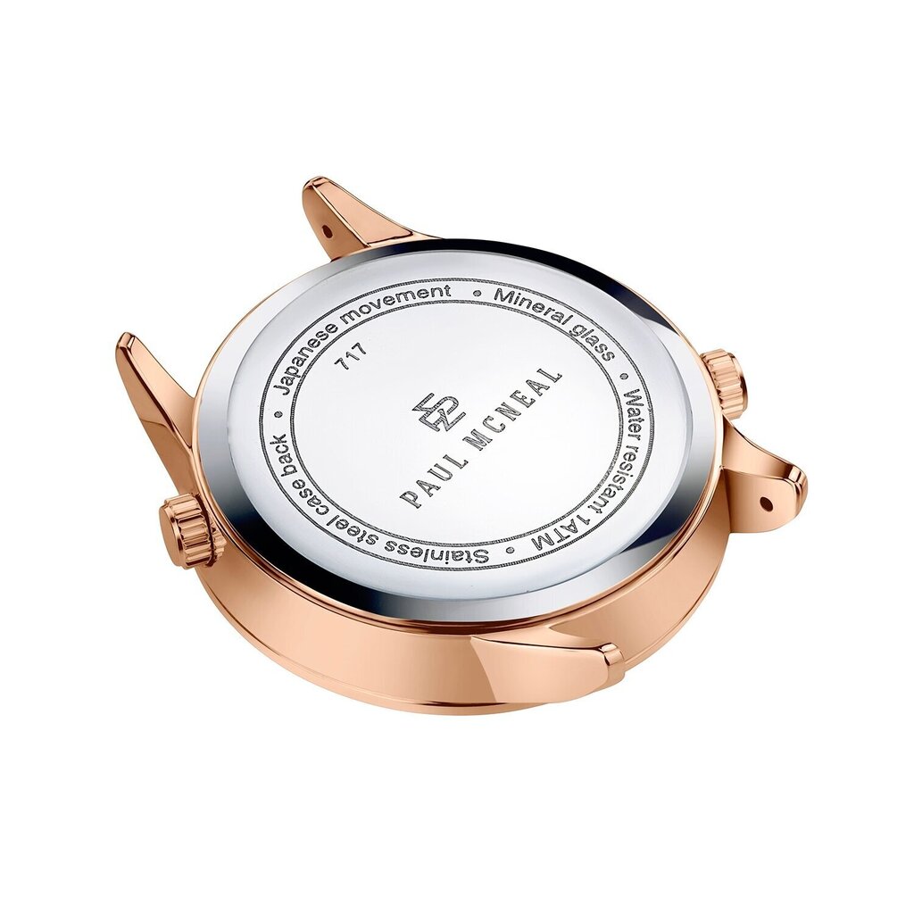 Laikrodis Paul McNeal PCF2100R kaina ir informacija | Vyriški laikrodžiai | pigu.lt