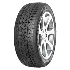 Minerva Frostrack UHP 225/45R17 94 V XL kaina ir informacija | Žieminės padangos | pigu.lt