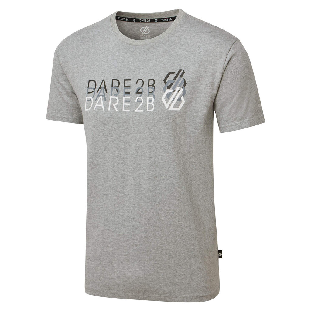 Marškinėliai vyrams Dar 2b Focalize, pilki цена и информация | Vyriški marškinėliai | pigu.lt
