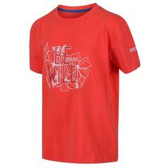 Vaikiški medvilniniai marškinėliai Regatta Bosley III - oranžinė 5057538849521 цена и информация | Рубашки для девочек | pigu.lt