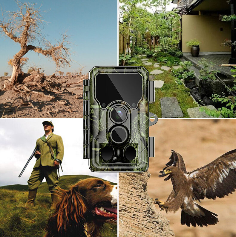 Sjcam M50 woodland green цена и информация | Veiksmo ir laisvalaikio kameros | pigu.lt