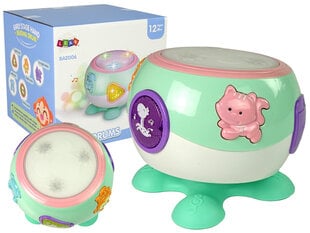 Интерактивный барабан для детей, зеленый цена и информация | Развивающие игрушки | pigu.lt