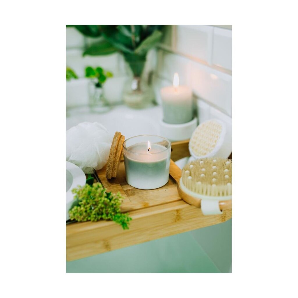 Bolsius kvapioji žvakė su dangteliu True Joy, 6,6x8,3 cm, augalų gaiva kaina ir informacija | Žvakės, Žvakidės | pigu.lt