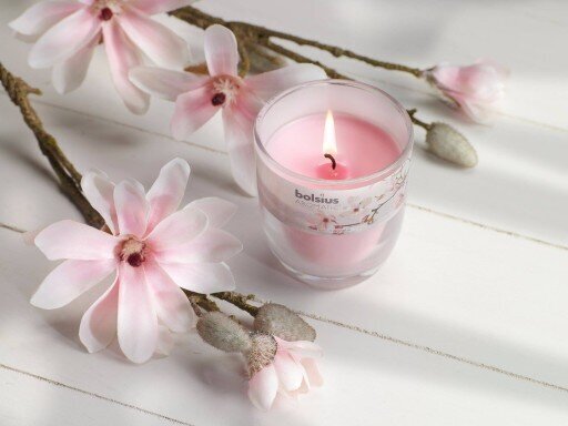 Bolsius kvapioji žvakė True Scents, 5x8 cm, magnolija kaina ir informacija | Žvakės, Žvakidės | pigu.lt