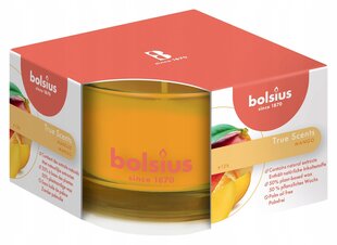 Ароматическая свеча Bolsius True Scents, 5x8 см, манго цена и информация | Подсвечники, свечи | pigu.lt