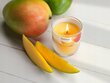 Bolsius kvapioji žvakė True Scents, 5x8 cm, mango kaina ir informacija | Žvakės, Žvakidės | pigu.lt