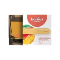 Ароматическая свеча Bolsius True Scents, 6,3x9 см, манго цена и информация | Подсвечники, свечи | pigu.lt