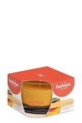 Ароматическая свеча Bolsius True Scents, 6,3x9 см, манго цена и информация | Подсвечники, свечи | pigu.lt