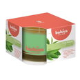Bolsius ароматическая свеча True Scents, 6,3x9 см, зеленый чай
