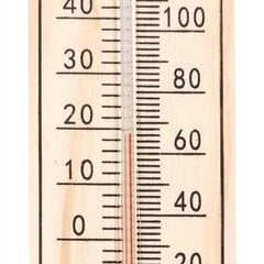 Практичный термометр цена и информация | Метеорологические станции, термометры | pigu.lt