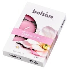 Чайные свечи Bolsius True Scents, 6 шт., магнолия цена и информация | Подсвечники, свечи | pigu.lt