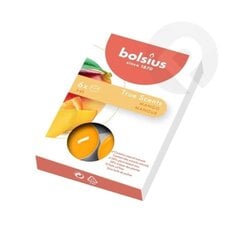 Чайные свечи Bolsius True Scents, 6 шт., манго цена и информация | Подсвечники, свечи | pigu.lt