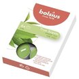 Чайные свечи Bolsius True Scents, 6 шт., зеленый чай