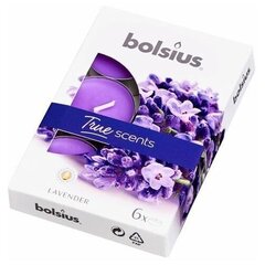 Bolsius arbatinės žvakės True Scents, 6 vnt., levanda kaina ir informacija | Žvakės, Žvakidės | pigu.lt