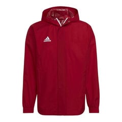 Džemperis vyrams Adidas Entrada 22, raudonas цена и информация | Мужские толстовки | pigu.lt