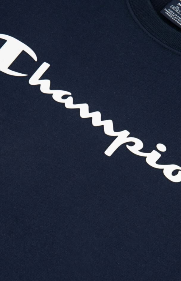 Champion vyriškas džemperis, tamsiai mėlynas kaina ir informacija | Džemperiai vyrams | pigu.lt