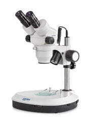Kern Ozm 544 цена и информация | Телескопы и микроскопы | pigu.lt