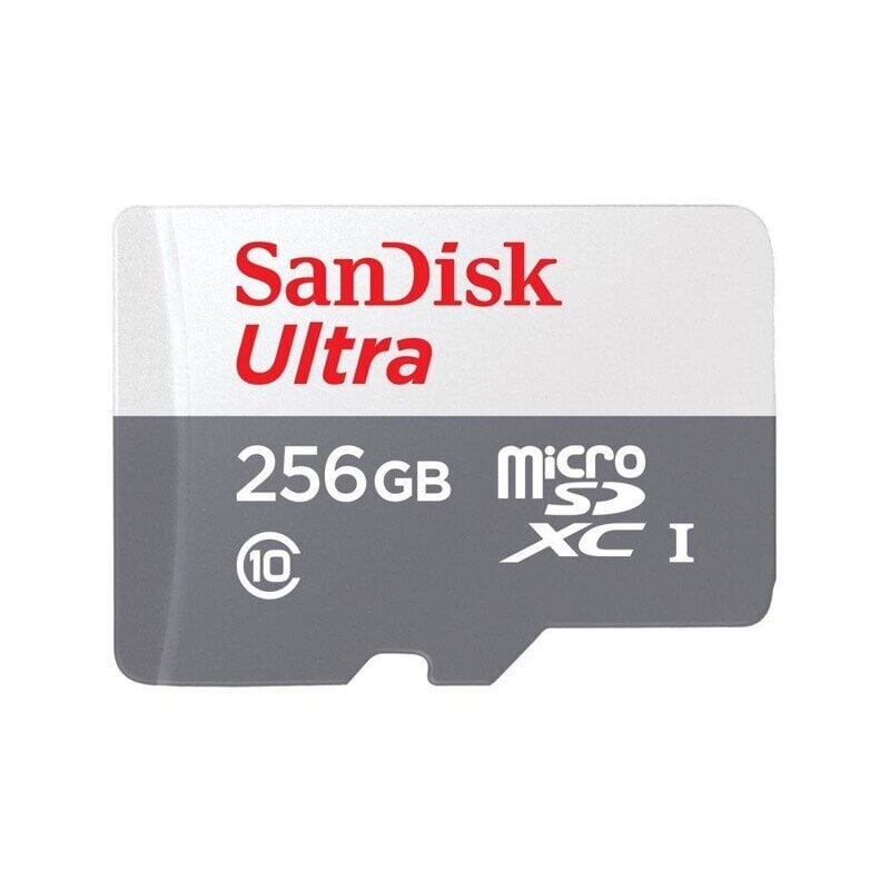 Sandisk SDXC 256GB UHS-I/SDSQUNR-256G-GN3MN kaina ir informacija | Atminties kortelės telefonams | pigu.lt