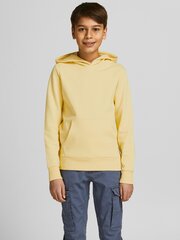 Jack&Jons džemperis vaikams 12184813*01, geltonas kaina ir informacija | Megztiniai, bluzonai, švarkai berniukams | pigu.lt