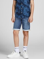 Детские джинсовые шорты JACK & JONES 12205922*01, синие 5715218990146 цена и информация | Шорты для мальчиков Gulliver, серые милитари | pigu.lt