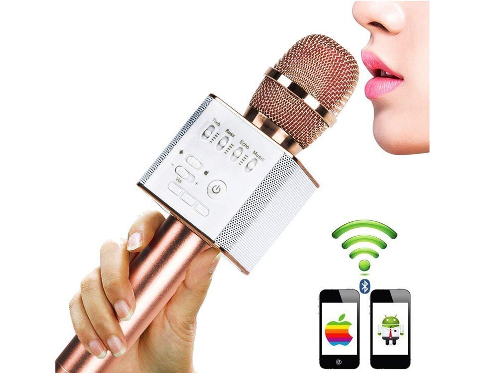 Belaidis mikrofonas su balso keitimu ir kitomis funkcijomis kaina ir informacija | Lavinamieji žaislai | pigu.lt